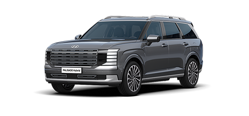 현대 팰리세이드